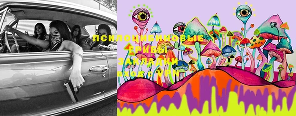 тгк Рославль